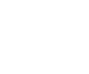 Evolution games at Bluvegas Casino
